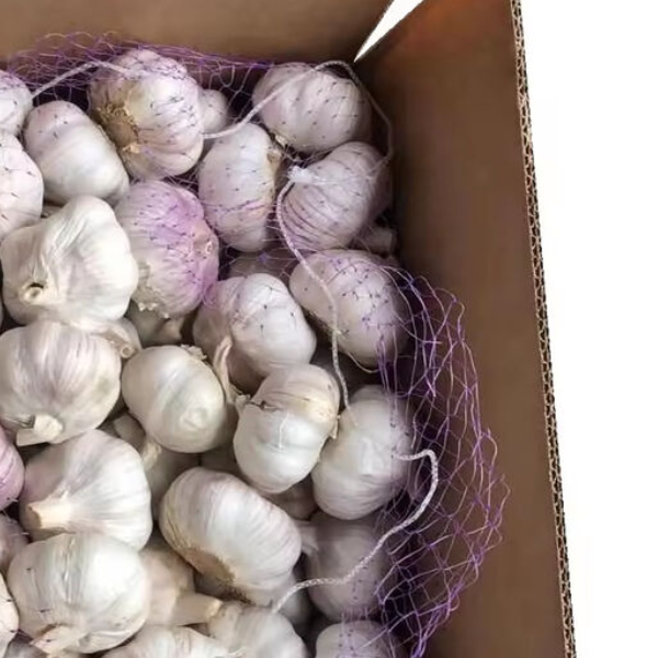 Bulk Garlic 5.5cm 6.0cm up Fresh Garlic Normal White Alho Ail Ajo for Sale