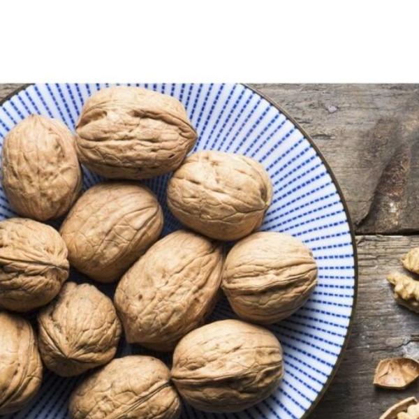 Bulk walnuts at competitive cheap pricing suitable for dessert makers food brands and international distributors of nuts