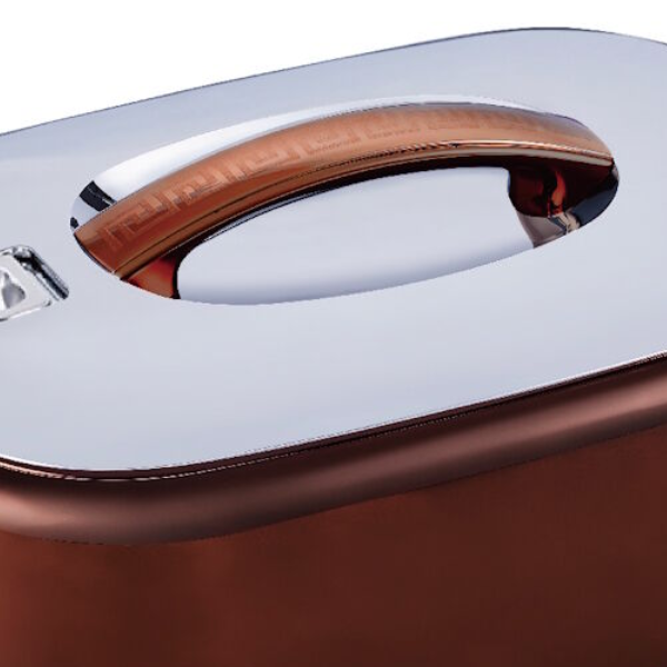 Rectangular-Shaped Insulated Food Containers with 18/8 Stainless Steel Interior, keep food warm for more 6 hours , picnic , Gold