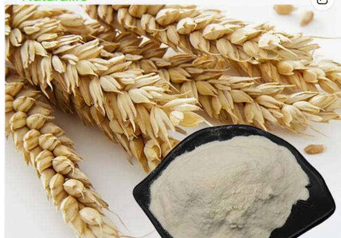 Plant peptide powder Food additives Wheat Oligopeptide plant extract powder